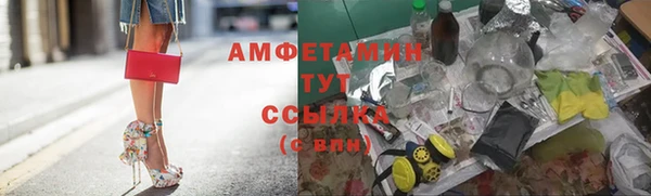 прущие грибы Баксан