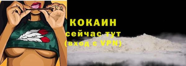 прущие грибы Баксан