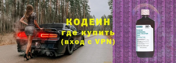 прущие грибы Баксан