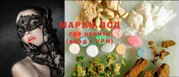 прущие грибы Баксан